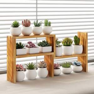 Modern Durable Handmade Rectangle Buffalo Bone Photo <b>Frame</b> with Detachable <b>Plant</b> Holder - Product Image 6