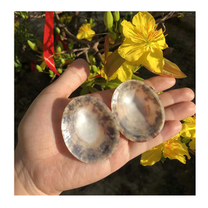 Vietnam Limpet Shell fourni par 99 Gold Data pour les conceptions artisanales et la décoration de coquilles dans les maisons côtières - Product Image 5