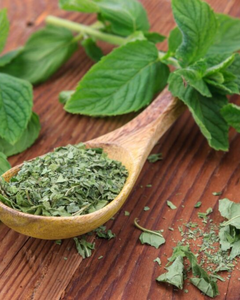 Feuilles de menthe séchées de haute pureté, fabricant fiable sur Alibaba - Product Image 5