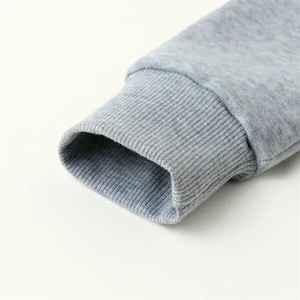 100% haute qualité hommes à manches longues pull à capuche personnalisable automne sweat doublé sérigraphie imprimé brodé solide à capuche - Product Image 2