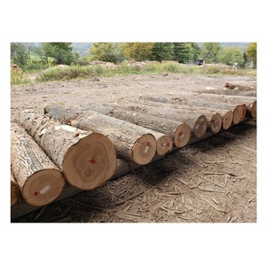 Bûches de frêne en gros au meilleur prix |   Bûches rondes en bois de frêne massif à vendre en gros - Product Image 5