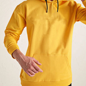 Custom Quality Men's Pullover Hoodie Logo Distressed Plain Color French Terry Thick Double <b>Puller</b> Winter Season 100% Cotton - Product Image 3