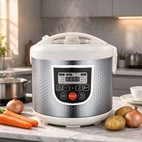 Cuisinière électrique tout-en-un avec double cuve antiadhésive, puissance 860W