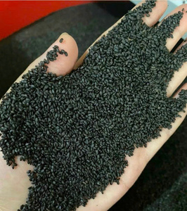 Semillas de albahaca de origen vietnamita listas para exportación suministro orgánico a granel para producción de alimentos y uso de bebidas por 99 Gold Data - Product Image 1