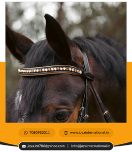 ชุดเดรสสายรัดสำหรับบังเหียนแบบพกพา Geneva สีดำมีท่อสีทองโลหะ - Product Image 3