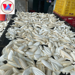 ปลาหมึกอบแห้งแบบธรรมชาติสำหรับส่งออกนกและสัตว์เลื้อยคลาน - Product Image 1