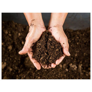 Turba en oferta a precio reducido para uso agrícola y hortícola - Product Image 3