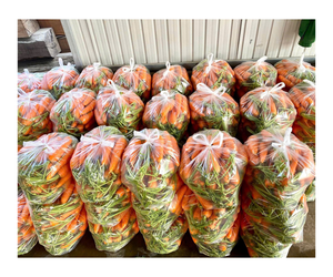 Best Price on New Crop Red <b>Carrots</b> <b>Fresh</b> Vegetables Supplier - Product Image 1