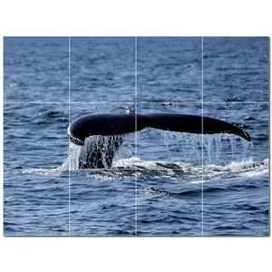 Mural de pared de azulejos de cerámica de ballena PT501195 48 "W X 36" H Juego de 12 azulejos de 12x12 Producto de una sola pieza - Product Image 1