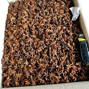 Proceso de secado de anís estrellado vietnamita mezclado de calidad superior Ventas calientes para exportación a precios competitivos - Product Image 5