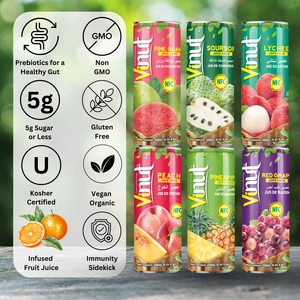 Precio mayorista Bebida de jugo de Guanábana 250ml (8,4 FlOz) Fábrica de Vietnam | Muestra gratis sin azúcar de etiqueta privada OEM ODM - Product Image 3