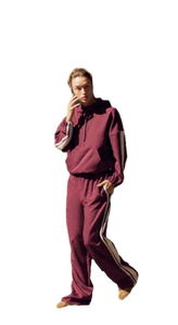 Venta al por mayor de pantalones de algodón granate y rayas de las mujeres elegantes pantalones de oficina en tonos neutros ofrecidos a precios competitivos - Product Image 2