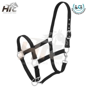 Professional High Quality Outdoor Equestrian Adjustable <b>Halters</b> Multi Color Customization Accepted Horse Riding Adjustable Chain - Product Image 3