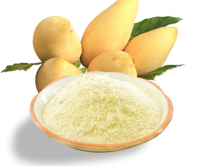 ผงมะม่วงธรรมชาติ วัตถุดิบสำหรับโรงงานผลิตเครื่องดื่ม เบเกอรี่ และสายการผลิตอาหาร - Product Image 3