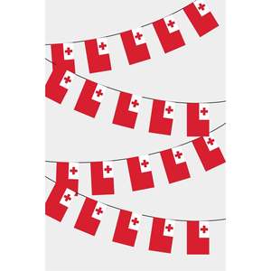 Rectangular Tonga Party <b>Banners</b> Fanion Garland - Product Image 1