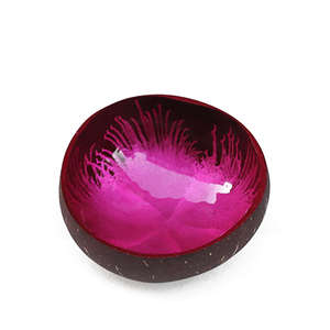 Bols en coque de noix de coco naturelle, finition laquée, faits à la main, écologiques, vaisselle bohème pour fêtes, échantillon gratuit, exportation du Vietnam - Product Image 1