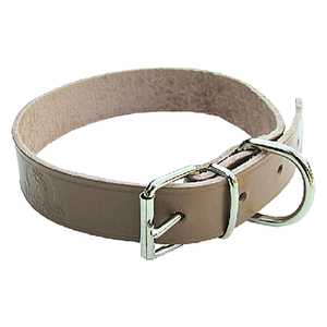 Guinzaglio per cani largo 16 mm lungo 37 cm - Product Image 1