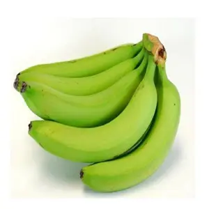 Fresh green Cavendish bananas Green Cavendish banana suppliers - fresh bananas for export fresh frozen fruit