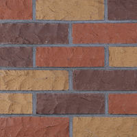 Façade en brique naturelle Brique d'argile Briques de qualité supérieure pour façades extérieures et intérieures