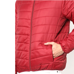 Vestes en duvet de coton pour hommes personnalisées OEM manteau à capuche d'hiver de style court veste imperméable à glissière pour hommes veste matelassée personnalisée - Product Image 4
