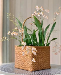 Jardinera redonda de hierro y caña para decoración de jardín y jardinera de mimbre y algas marinas de color natural - Product Image 6