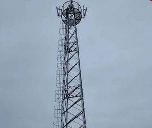 रिसॉर्ट में आगंतुक अनुभव को बढ़ावा देने के लिए पैनोरमिक दर्शनीय टॉवर, स्थिर जाली डिजाइन और एंटी-जंग कोटिंग - Product Image 3