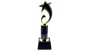 ถ้วยโลหะส่องแสงรูปดาวสำหรับความเป็นเลิศของพนักงานหรือความเป็นผู้นำที่มีอยู่ทั่วโลก - Product Image 5