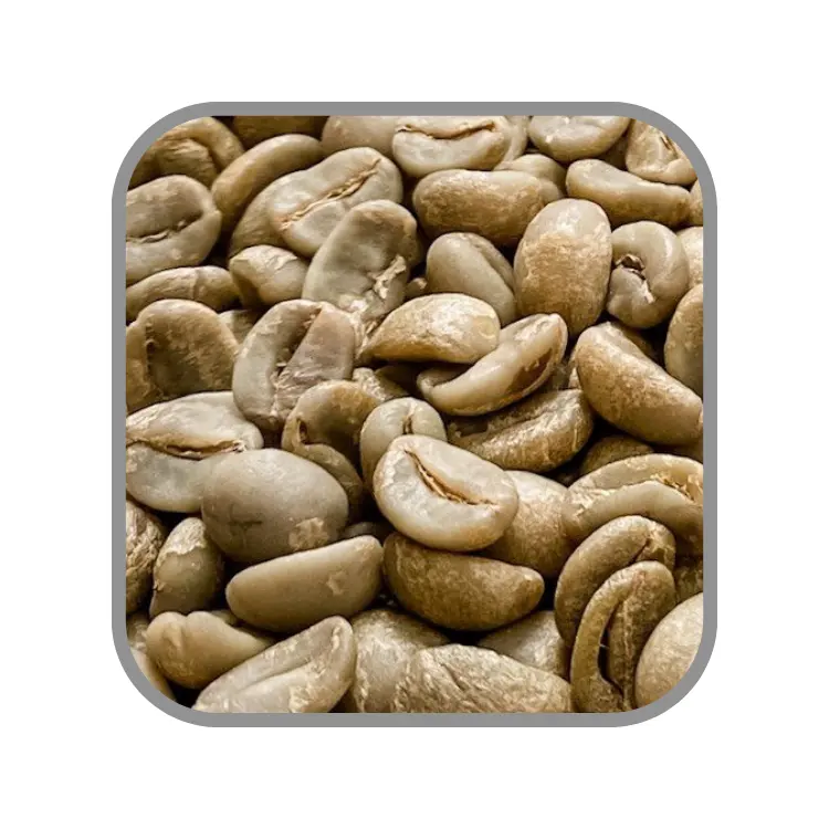 Robusta haricots verts bon prix Vietnam grains de café vert brut grains emballage personnalisé sac de jute fabricant vietnamien