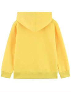 Mode enfants automne brodé fermeture éclair-Up haute qualité coton bio à manches longues à capuche pour garçons-bas prix - Product Image 2