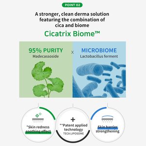 WELLAGE Cica Crema Calmante 80ml Cuidado DE LA Piel Coreano Cara Calmante Hidratante Calmante Alivio del Enrojecimiento Crema Hidratante - Product Image 4