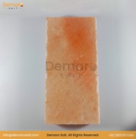 2025 Tuiles de sel rose de l'Himalaya bio à la mode 100% briques sculptées naturelles pour la décoration et la salle de sauna directement de la source