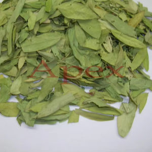 Feuilles entières séchées, Cassia angustifolia feuilles de séné coupées en T, poudre de feuilles de séné, exportateur en vrac de l'Inde, herbe laxative naturelle - Product Image 1