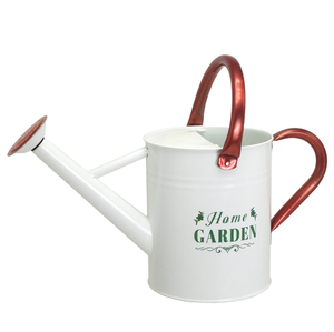 Material de hierro de lata de agua de Metal de cobre recubierto de polvo duradero de alta calidad para el estilo de vida del ambiente del hogar y el jardín - Product Image 4