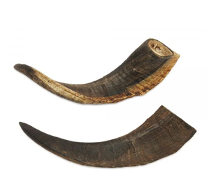 ฮอร์นแพะสไตล์ทำมือสินค้าตกแต่งทำด้วยมือฮอร์นแพะฮอร์นธรรมชาติสำหรับขายในอินเดีย - Product Image 5