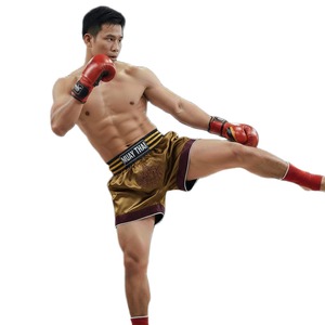 กางเกงมวยไทย MMA แบบยืดได้ น้ำหนักเบา สไตล์ไทยดั้งเดิม สำหรับคิกบ็อกซิ่ง มวยไทย ผู้ผลิต OEM/ODM - Product Image 6