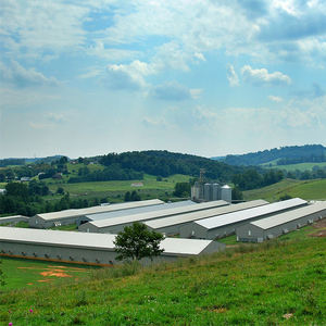 Pollaio in Struttura d'Acciaio con Telaio Leggero e Design Rustico per Allevamento di Polli Installazione Rapida - Product Image 5