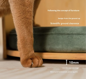 Cuccia avvolgente per cani in legno massello Eco Friendly per tutta la stagione - Product Image 2