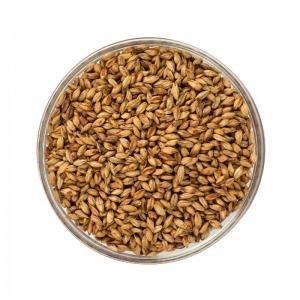 Cebada Malta grano alimentación animal cebada la mejor calidad al mejor precio - Product Image 2