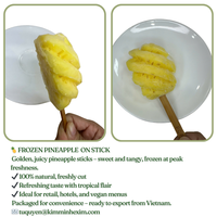 LQF Diepvriesvruchten Rode Drakenvrucht Mango op stokje Ananas op stokje Banaan op stokje Vacuüm verpakt Groothandel Bulk levering Vietnam