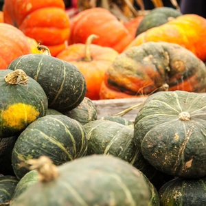 Bloques de Calabaza Congelados Frescos Premium IQF para Sopas, Salsas, Purés, Postres y Procesamiento de Alimentos - Product Image 5