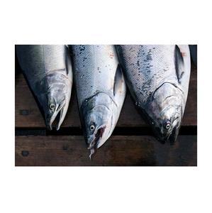 Salmón Congelado de Alta Calidad, Orgánico, Bajo en Sodio, Proceso BQF, Envasado al Vacío de Primera Calidad - Precio Económico, Fabricante de Portugal - Product Image 2