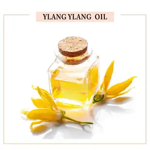 Olio di Ylang-Ylang 100% biologico e puro di alta qualità a prezzo-ottieni olio essenziale di Ylang-Ylang a prezzo all'ingrosso