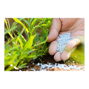 Fertilizante de nitrógeno ureico 46%, polímero granular recubierto de liberación rápida 46-0-0 N46 % - Product Image 2