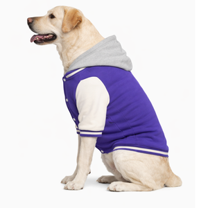 <b>Dog</b> Varsity Jacket for Pets Hooded Fleece Design Stylish <b>Winter</b> <b>Dog</b> <b>Coat</b> Warm Everyday Outerwear For All <b>Dog</b> Sizes - Product Image 3