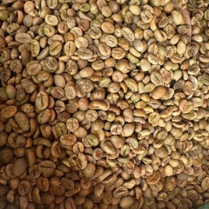 Vietnam <b>Robusta</b> <b>Coffee</b> <b>Beans</b> Green Size 16 Vietnamese Organic coffe benas Bulk Export Industry <b>Coffee</b> Supplier - Product Image 3