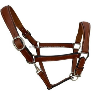 Licou en cuir véritable à double couture avec rembourrage de vache ultra doux et anneau à boucle en laiton nickelé robuste - Product Image 6