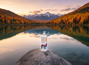 Shampooing Hypoallergénique de Luxe PetBiology pour Toutes Races, Sans Allergènes, Formule Douce, Sûr pour les Animaux Jeunes, Bouteille en Plastique, Salle de Bain - Product Image 5
