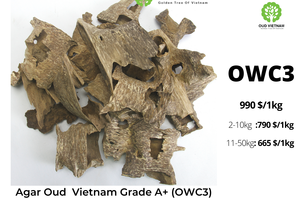 ไม้กฤษณาเวียดนามคุณภาพสูง ขายส่ง ไม้กฤษณาฮ่าตินห์ธรรมชาติ ชิ้นไม้หอม กลิ่นไม้หอมเวียดนาม - Product Image 2