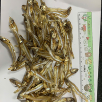 VENTE CHAUDE 2024 POISSON D'ANCHOIS SÉCHÉS EN VRAC/ANCHOIS SÉCHÉS DU FOURNISSEUR DU VIET NAM AU MEILLEUR PRIX
