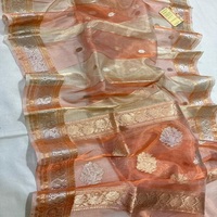 Saree Kadhwan de Chifón 100% Puro, Hecho a Mano, con Detalles Tradicionales Exquisitos, Tela Elegante Plateada